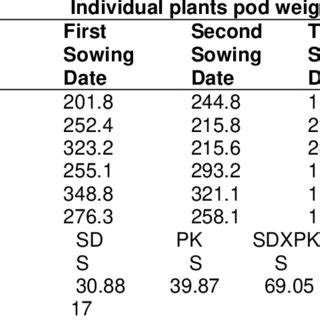 Influence Of Sowing Dates PK Rates And Their Interaction On The Stem