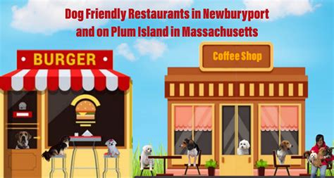 Dog-Friendly Restaurants in Newburyport and Plum Island