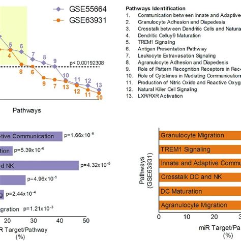 Canonical Pathways Associated With Innate Immune Response Identified Download Scientific