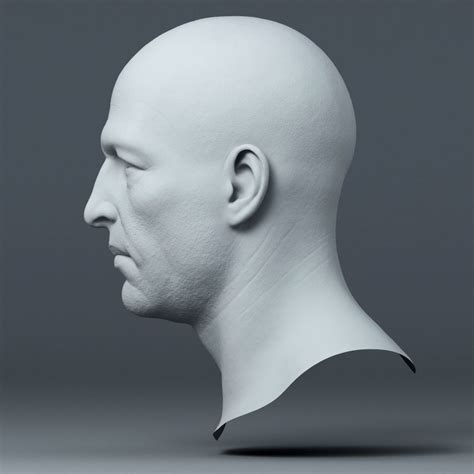 Realistic Male Head 3d Model 39 Obj Ztl Free3d