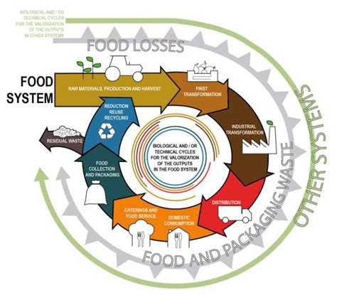 Circular Economy For Food A Systemic Interpretation Of 40 Case