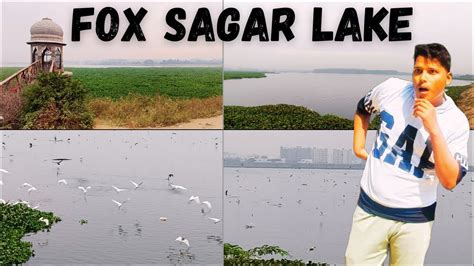 Fox Sagar Lake Fox Sagar Lake Hyderabad Years Old Fox Sagar