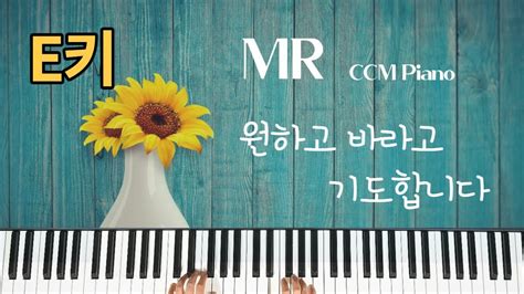 원하고 바라고 기도합니다 Mr E키 Ccm 복음성가 피아노 연주곡 [i Wish Hope And Pray Mr