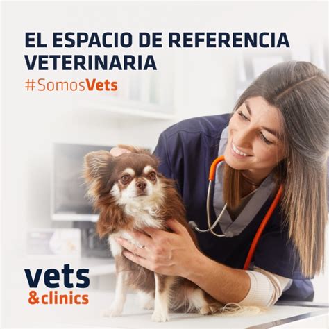 177 Diarreas en perros cuándo usar antibióticos y cuándo no