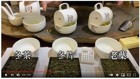 黃金烏龍冬片老葉冬茶 實泡實況 台灣茶烏龍茶紅茶茶葉批發 樂菁茶業