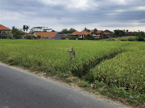 Jual Tanah Komersil Jalan Utama Pantai Cemagi Bali