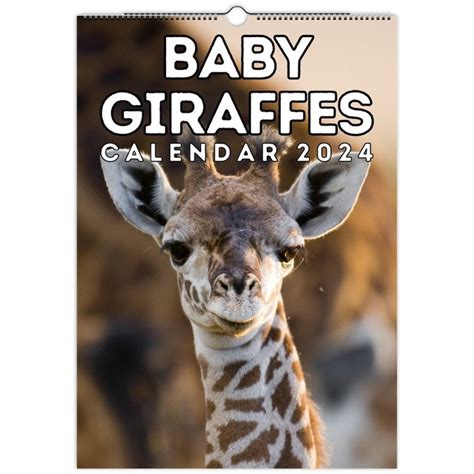 Giraffe Calendar 2024 Heidi Mollee