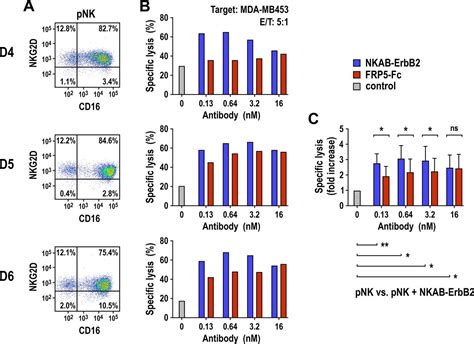 Bispecific Antibody Mediated Redirection Of Nkg2d Car Natural Killer