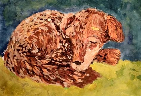 Dog Painting Hobby Sleep Free Photo On Pixabay Pixabay