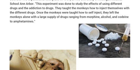 Monkey Drug Trials by Ian Linares - Infogram