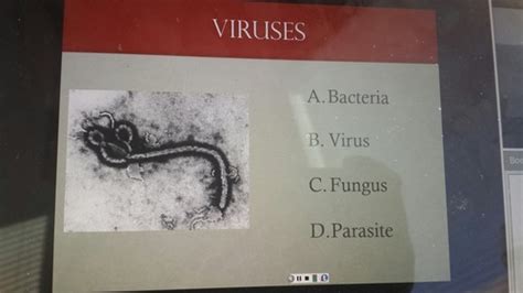 Introduction To Microbiology Flashcards Quizlet