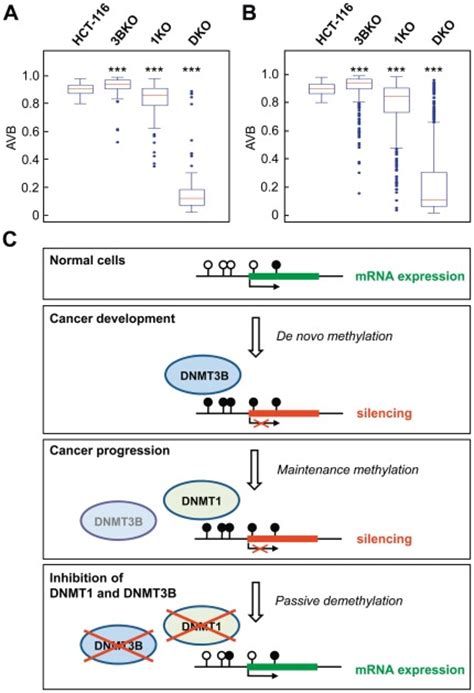 A B Boxplots Illustrating The Methylation Levels Of Cimp A And