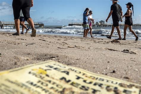 L Uragano Nicole Sferza La Florida Morti Danni E Blackout Foto