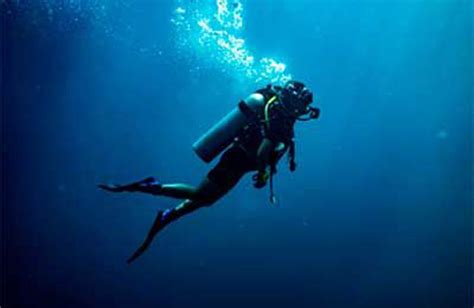 What Is Nitrogen Narcosis In Diving Dive N Vibe