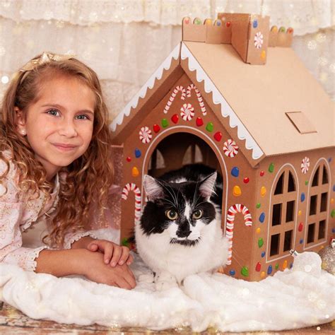 Cardboard Gingerbread Cat Playhouse Kit Cat In The Box Cat In The Box Llc