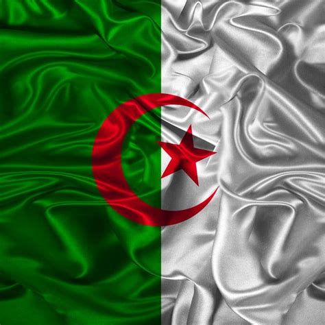 Drapeau Algérie Illustration Agitant Fibre 3d PNG , Drapeau Algérien ...