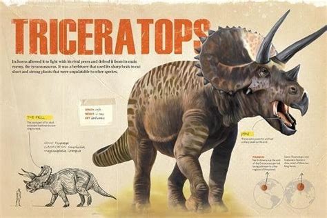 Triceratops Infographic Art By Pablo Lara Triceratops Is A Genus Of