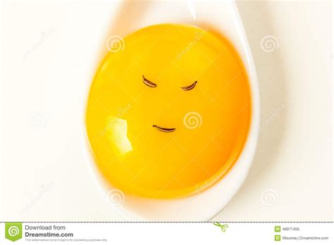 Egg Yolk Stock Photo Image Of Delicious Brown Healthy 48971456