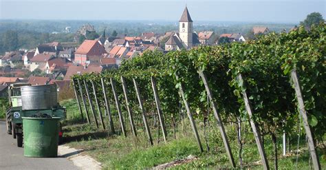 Burkheim Stadt Vogtsburg Im Kaiserstuhl