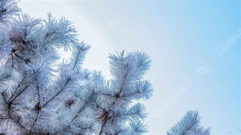 Winter Snowy Powerpoint Background For Free Download - Slidesdocs