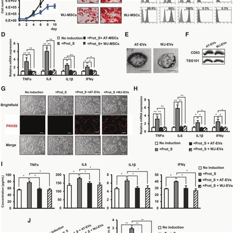 Sars Cov Peptide Pools Induced Cytokine Storm In Calu Cells A