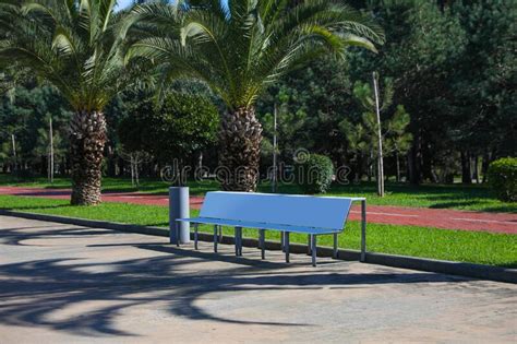 White Metal Bench And Trash Can In Park Stock Image Image Of Palm