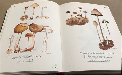 Petit atlas des champignons tome 1 généralités et planches couleurs