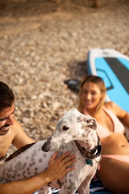 Cachorro Se Divertindo Na Praia Foto Gr Tis