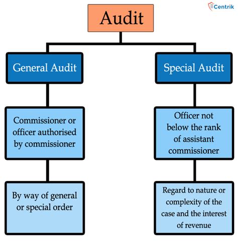 Audit Under Gst