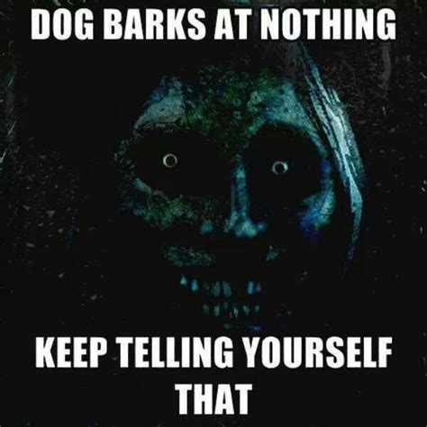 Dogs bark at nothing Keep telling yourself that! | Dog barking at ...