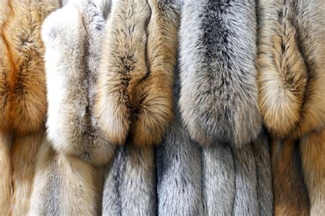 Premium Photo Beautiful Fur Skins Of Different Colors