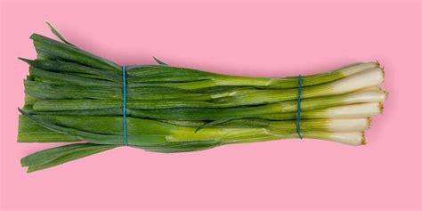 How To Store Scallions So They Dont Wilt Myrecipes