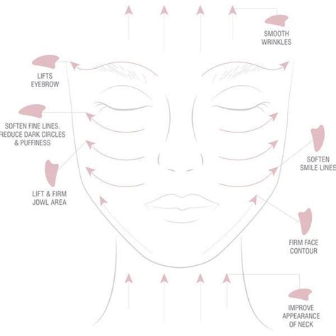 Massage Gua Sha Du Visage La Nouvelle Technique Anti âge Muscle