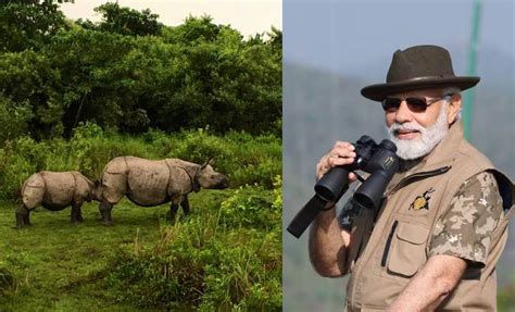 Prime Minister Visit At Kaziranga National Park During Assam Tour