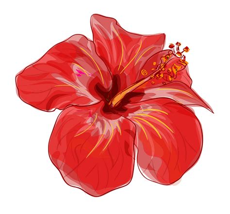 Hibiscus Flower Clipart Picture - ClipartLib