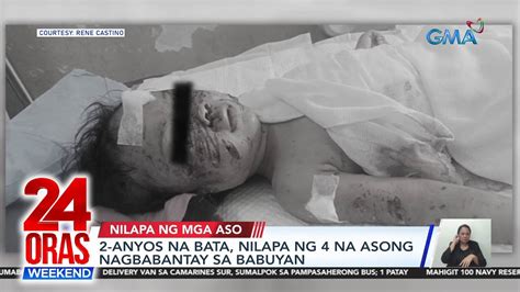 Anyos Na Bata Nilapa Ng Na Asong Nagbabantay Sa Babuyan Oras