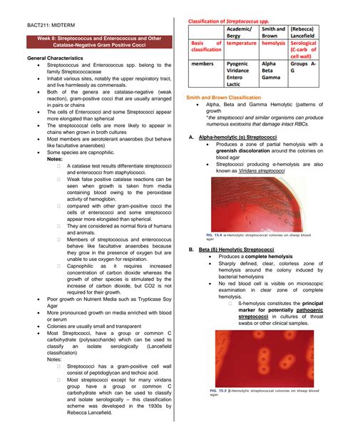 Solution Streptococcus And Enterococcus Bacteriology Lecture Reviewer