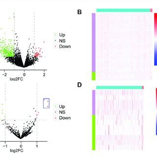 Analysis Of Differential Mrnas And Mirnas Comparing Paml And Control