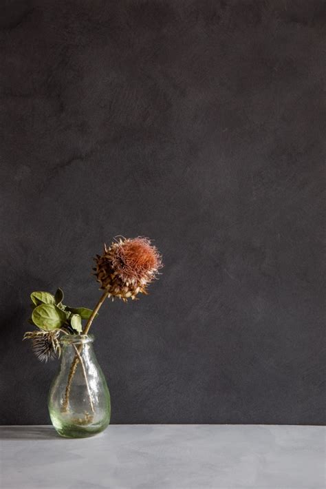 Goldshell — декоративные краски и штукатурки в Москве от производителя ...