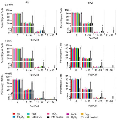 Formation Of H Ax Foci In A Cells After Treatment Of Raw Pm Rpm