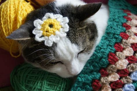 Crochet and cat Barsik Beanie, Knitting, Cats, Crochet, Fashion, Moda ...