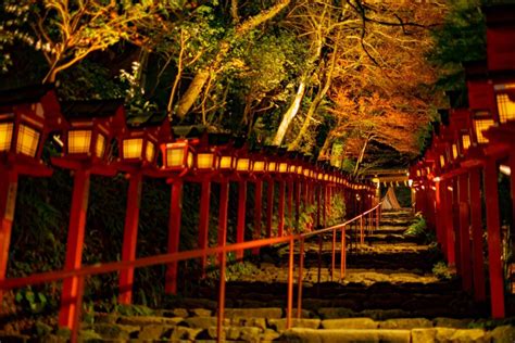 【2023年 イベント】『貴船もみじ灯篭』〜「貴船神社」と「もみじのトンネル」のライトアップ🍁🔦💫幻想的だよ😊 〜 祈りログ