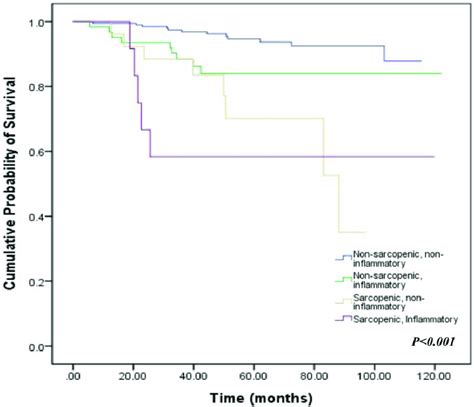 Disease Free Survival Dfs Stratified By Baseline Sarcopenia And