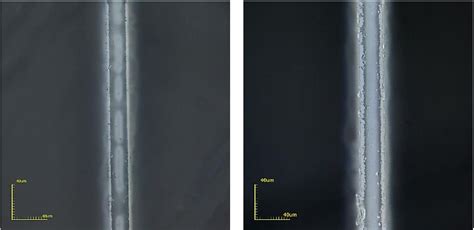 Table 1 From BACTERIA OF THE GENUS BACILLUS AS A METHOD OF DIRECTED