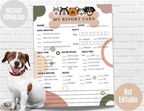 Pet Report Card Form Instant Download Dog Report Card Ready To Print