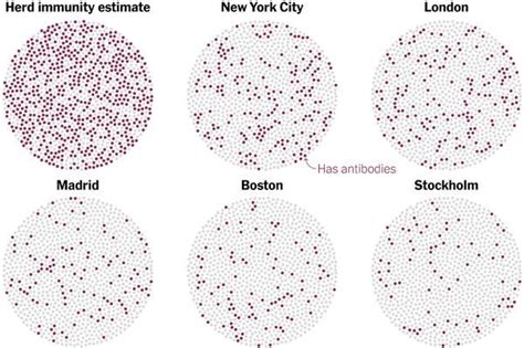 Herd Immunity Hong Kong Twitter Your Friday Briefing The New York Times