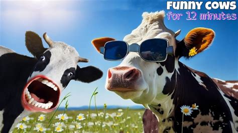 Funny Cow Dance For 12 Minutes Straight Cow Song And Cow Videos 2024