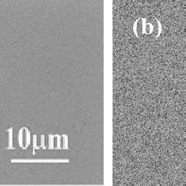 Surface Morphology Of An Epitaxial Nbn Film On A Sto Substrate