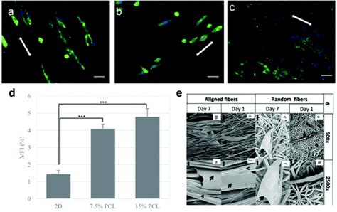 Electrospun Nanofibers In Cancer Research From Engineering Of In Vitro