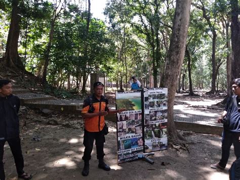 Cagar Alam Pangandaran Rumah Besar Bagi Beragam Flora Dan Fauna